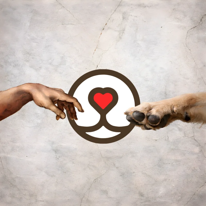 Зооплатформа