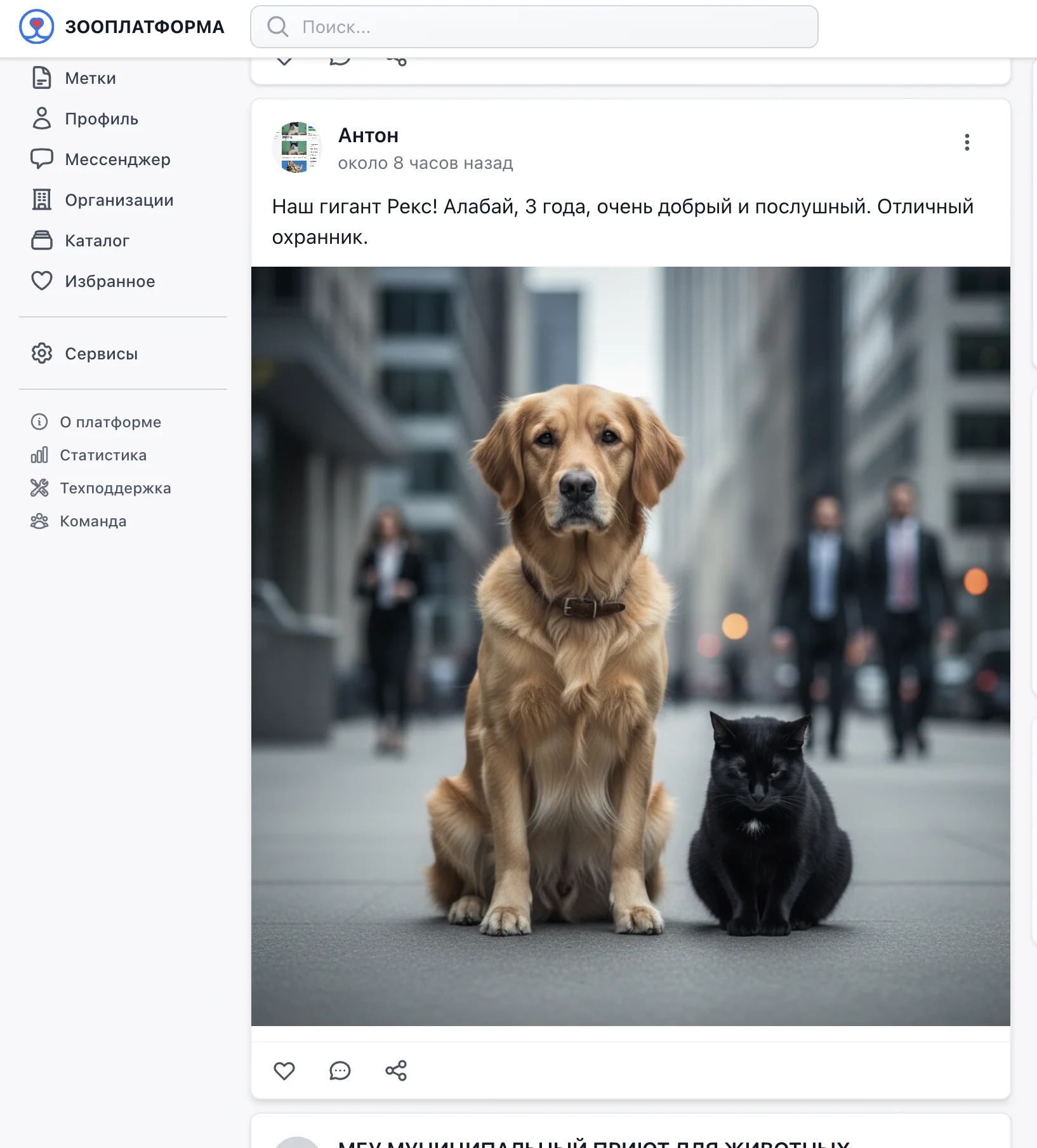 Главная лента зооплатформы